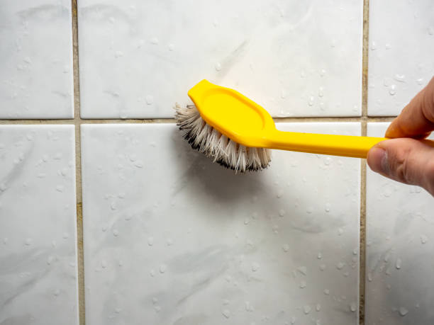 Best Mold Remediation for Schools in Dooms, VA