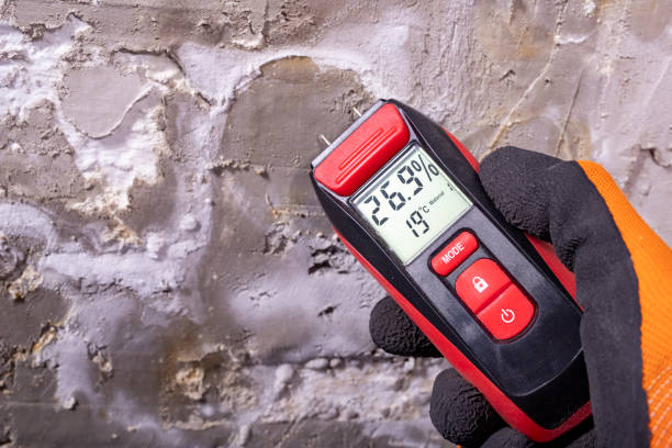 Best Residential Mold Remediation in Dooms, VA