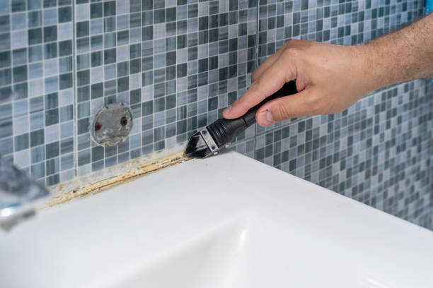 Best Preventive Mold Services in Dooms, VA