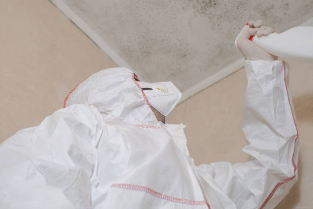 Best Mold Testing and Inspection Services in Dooms, VA