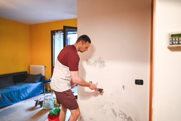 Reliable Dooms, VA Mold Remediation Solutions